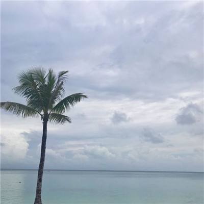 MSCI ESG 评级跃升至AAA！